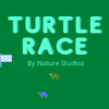 Turtle Race